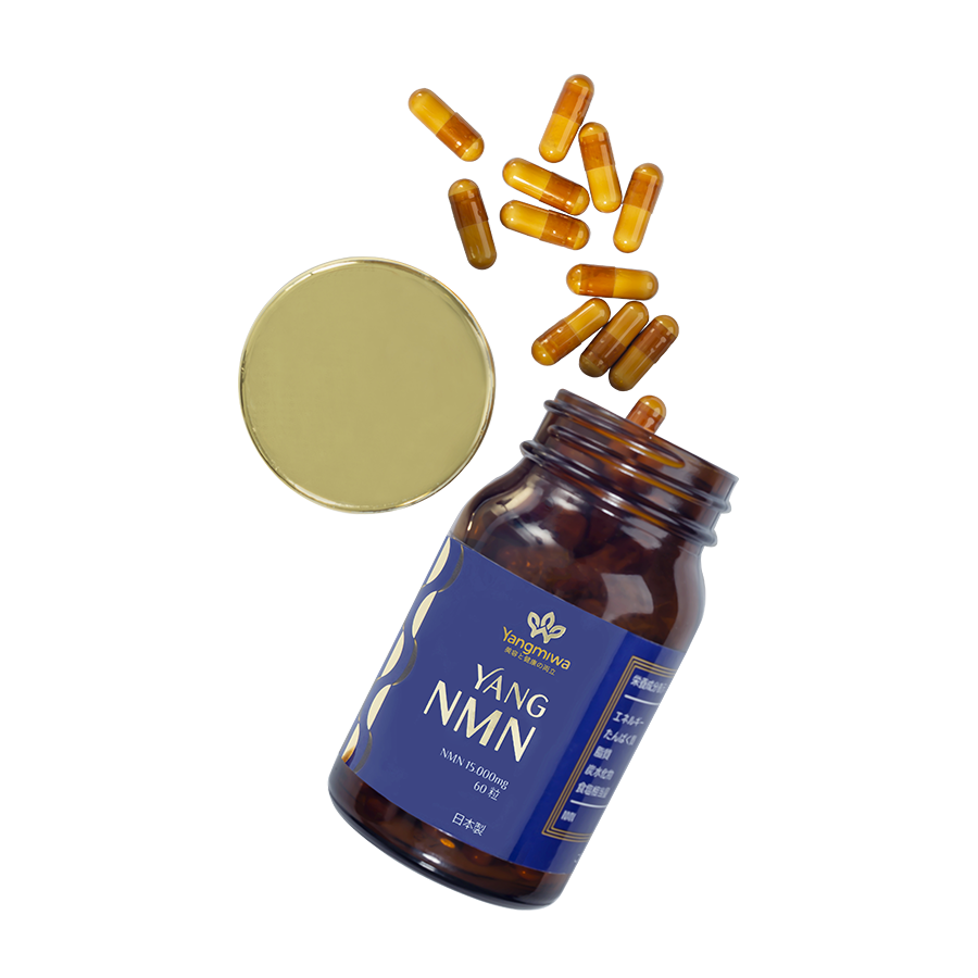 yang-nmn-png-4 