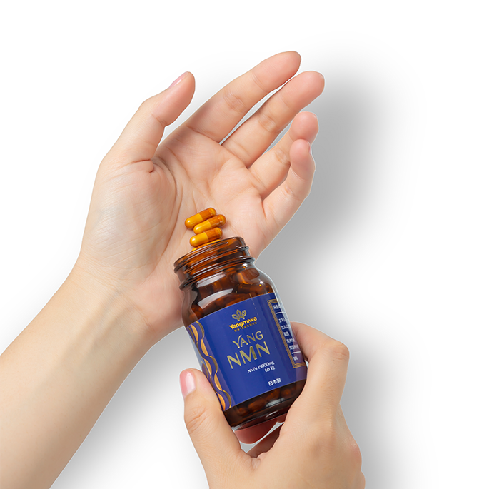 yang-nmn-content-2 